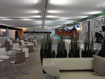 margarete-goldmann-blumenkunst-event-raumdekoration